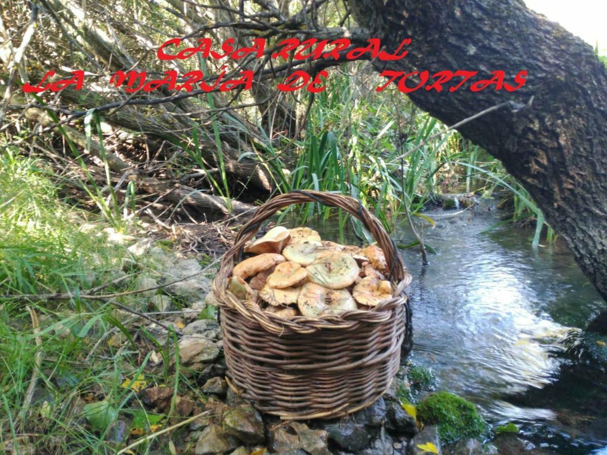 La Maria De Tortas Guest House Paterna del Madera ภายนอก รูปภาพ